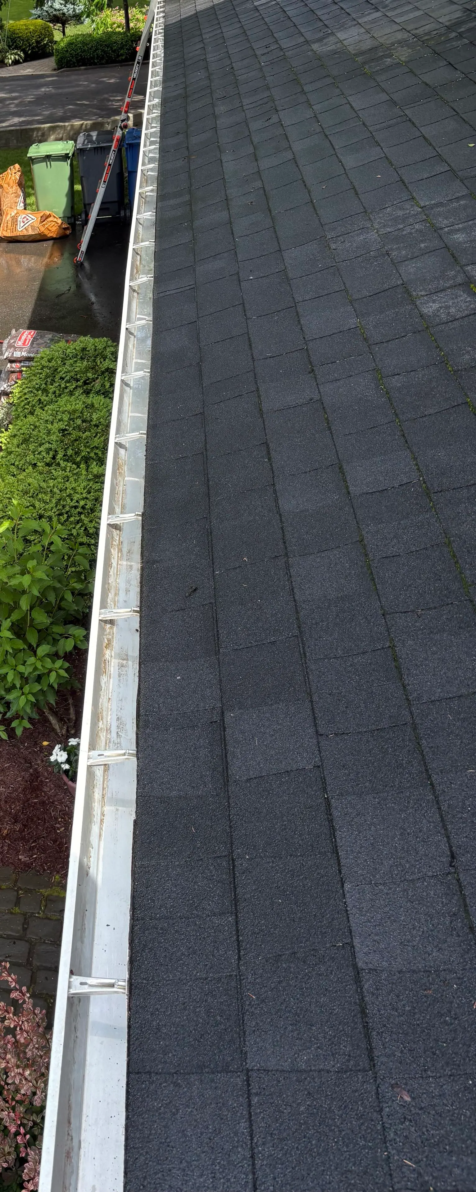 Gutter cleaning